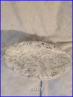 Dallas Cowboys 5-time Super Bowl Champs 2008 & Wilson 2001 Team Sign Footballs