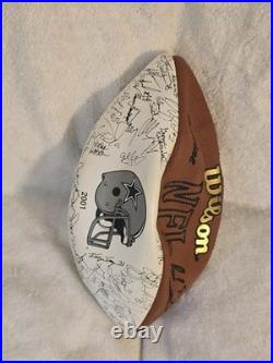 Dallas Cowboys 5-time Super Bowl Champs 2008 & Wilson 2001 Team Sign Footballs