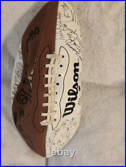 Dallas Cowboys 5-time Super Bowl Champs 2008 & Wilson 2001 Team Sign Footballs