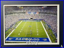 Dallas Cowboys Texas Stadium Authentic Game Used Turf Framed Collage COA Steiner